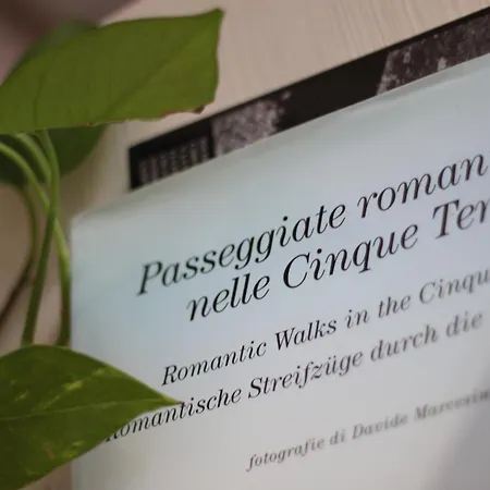 赛尔奈亚42号住宿加早餐旅馆 4* 斯培西亚