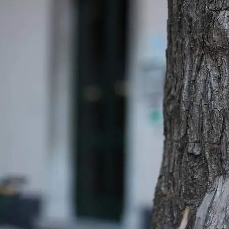 赛尔奈亚42号住宿加早餐旅馆 住宿加早餐酒店 4*