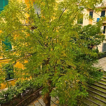 住宿加早餐酒店 赛尔奈亚42号住宿加早餐旅馆 4*