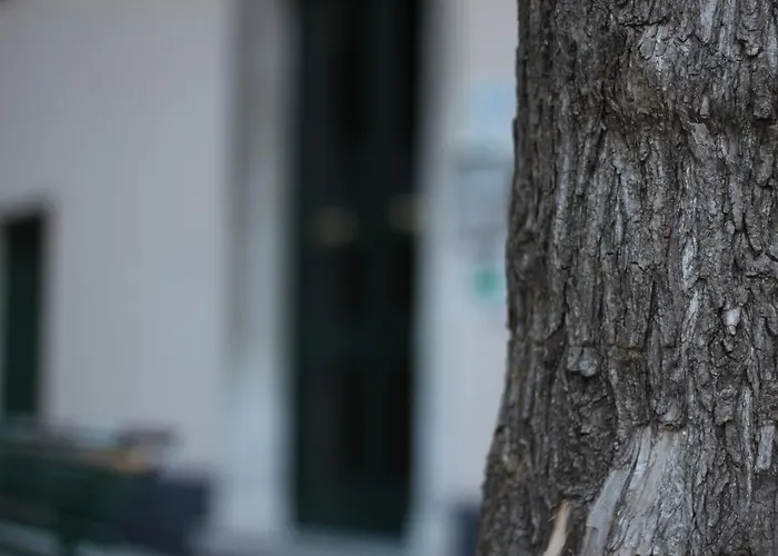 Cernaia 42 فندق مبيت وإفطار 4*