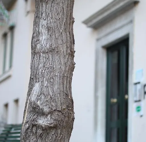 Cernaia 42 فندق مبيت وإفطار 4*