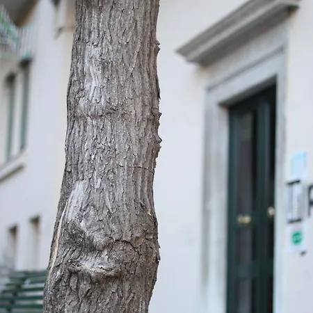 Cernaia 42 Bed & Breakfast 4*